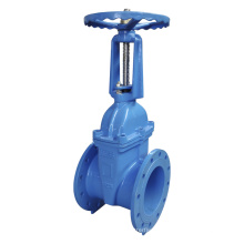 BS5163/ EN 1171 PN10/PN16 Rising Stem Resilient Seated Gate Valve